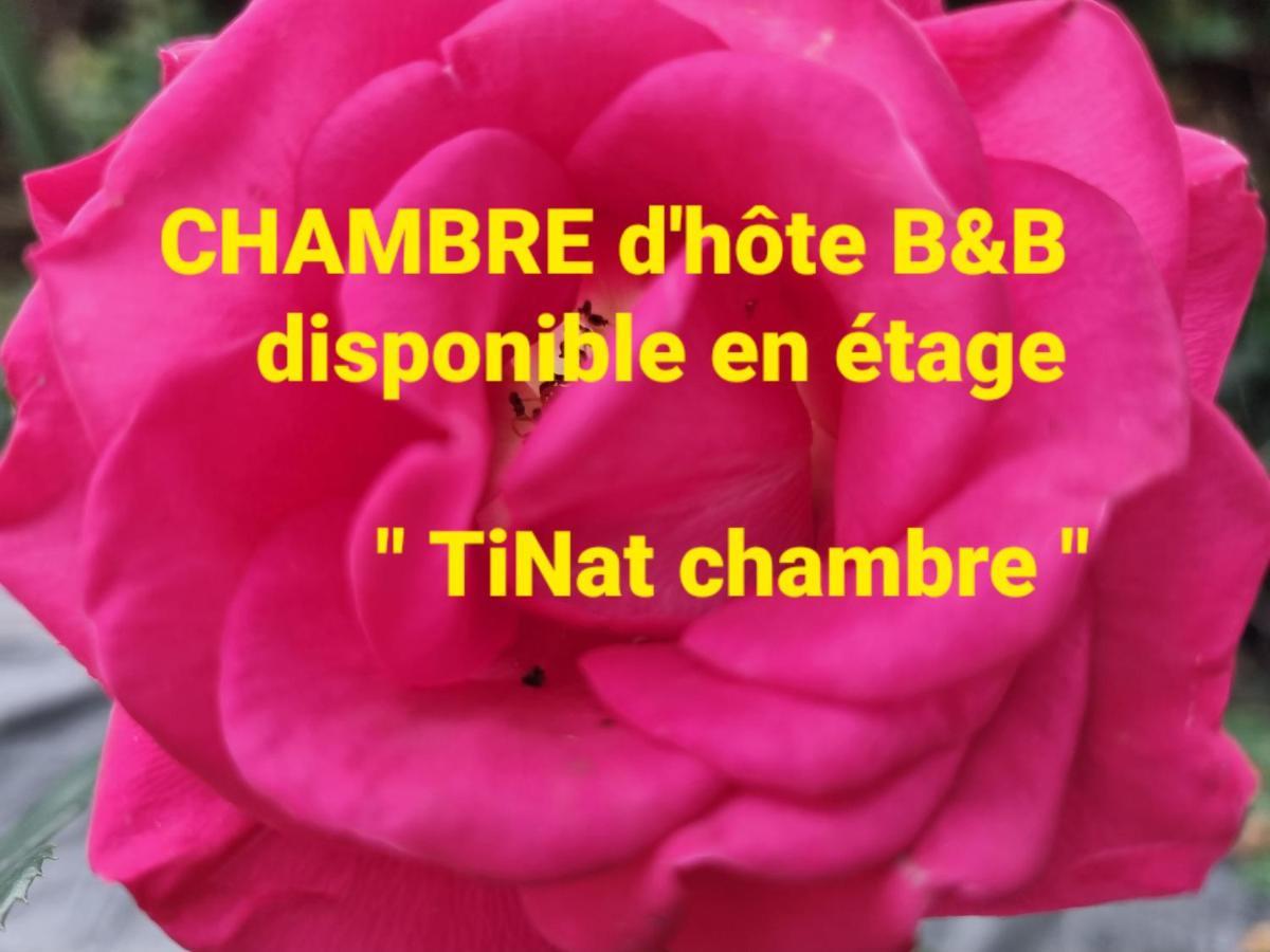 Tinat Studio Douarnenez Exterior foto